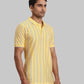 ColorPlus Regular Fit Striped Dark Green T-Shirt