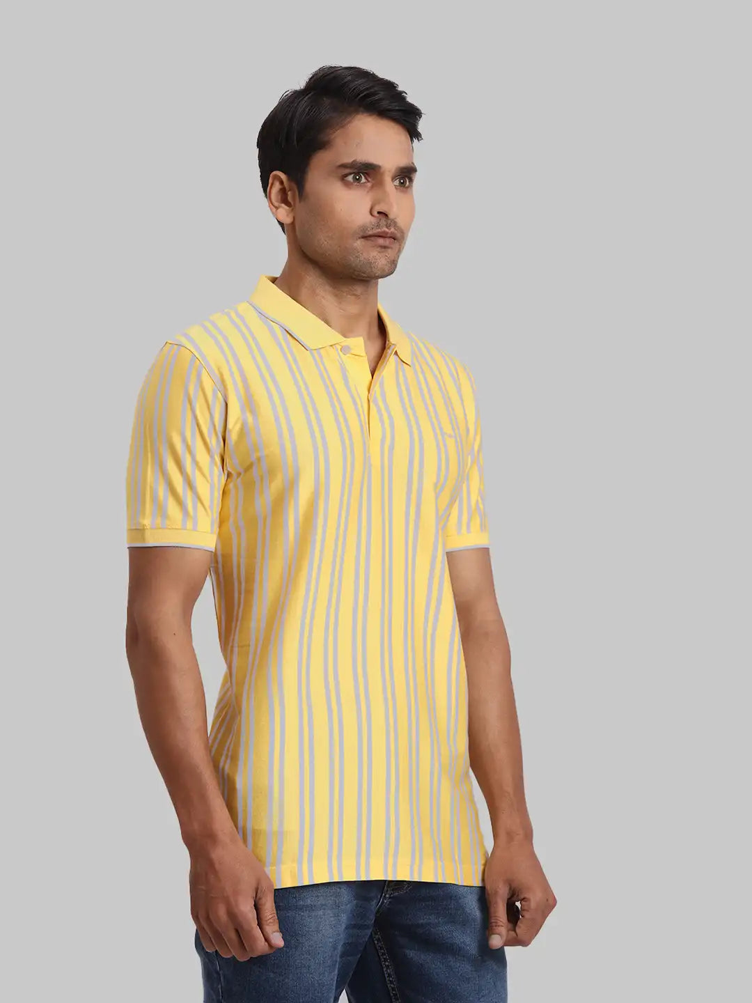 ColorPlus Regular Fit Striped Dark Green T-Shirt