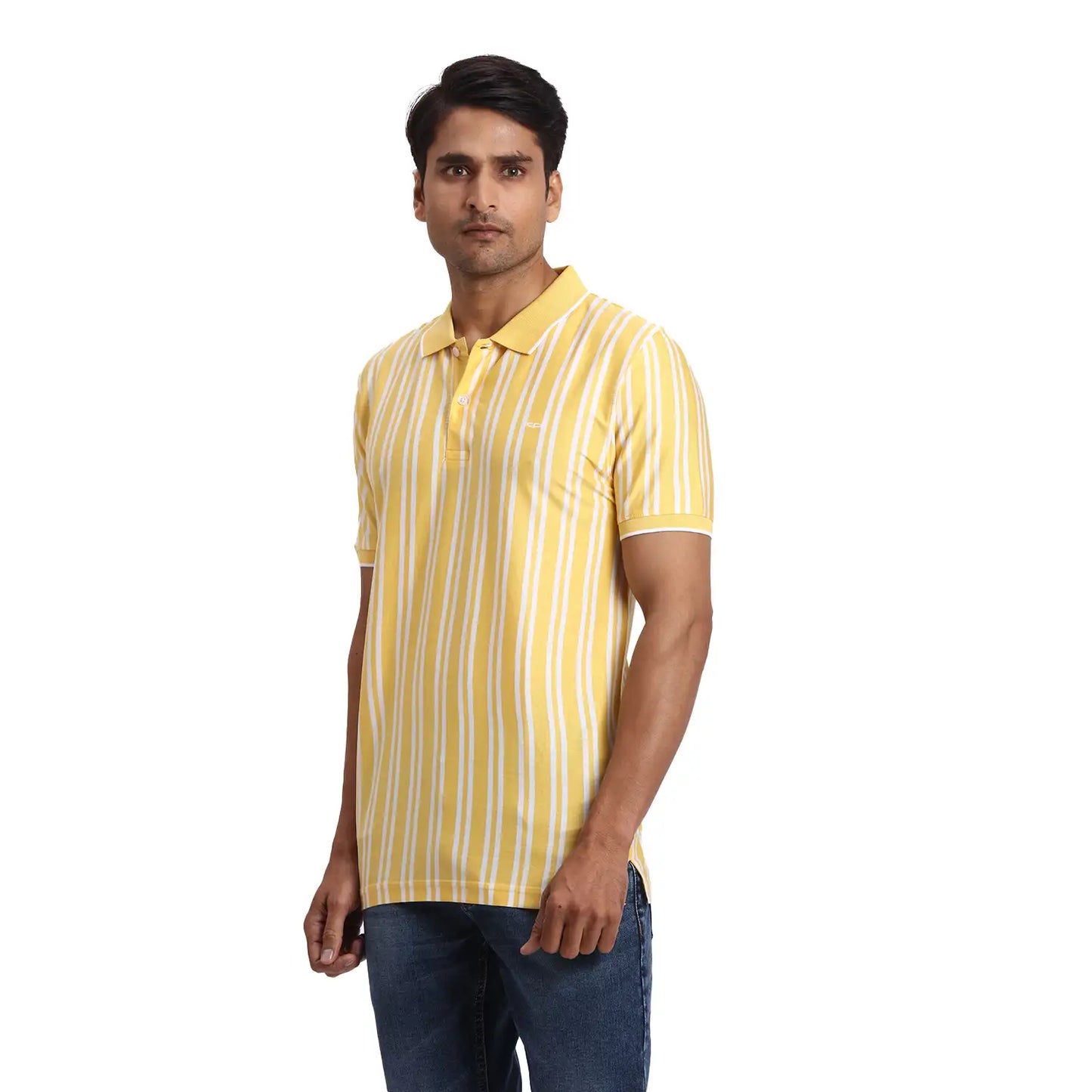 ColorPlus Regular Fit Striped Dark Green T-Shirt