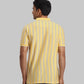 ColorPlus Regular Fit Striped Dark Green T-Shirt