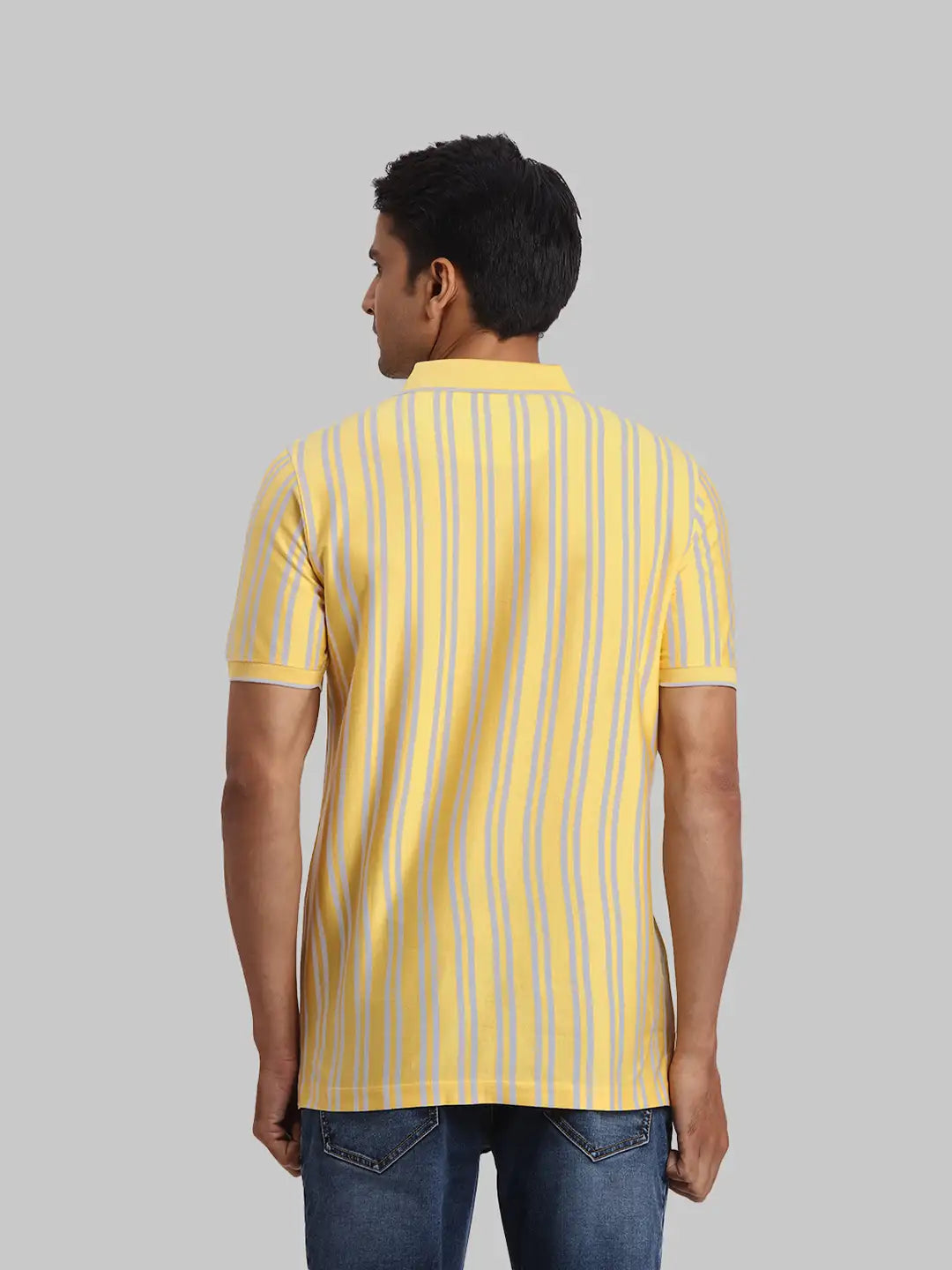 ColorPlus Regular Fit Striped Dark Green T-Shirt