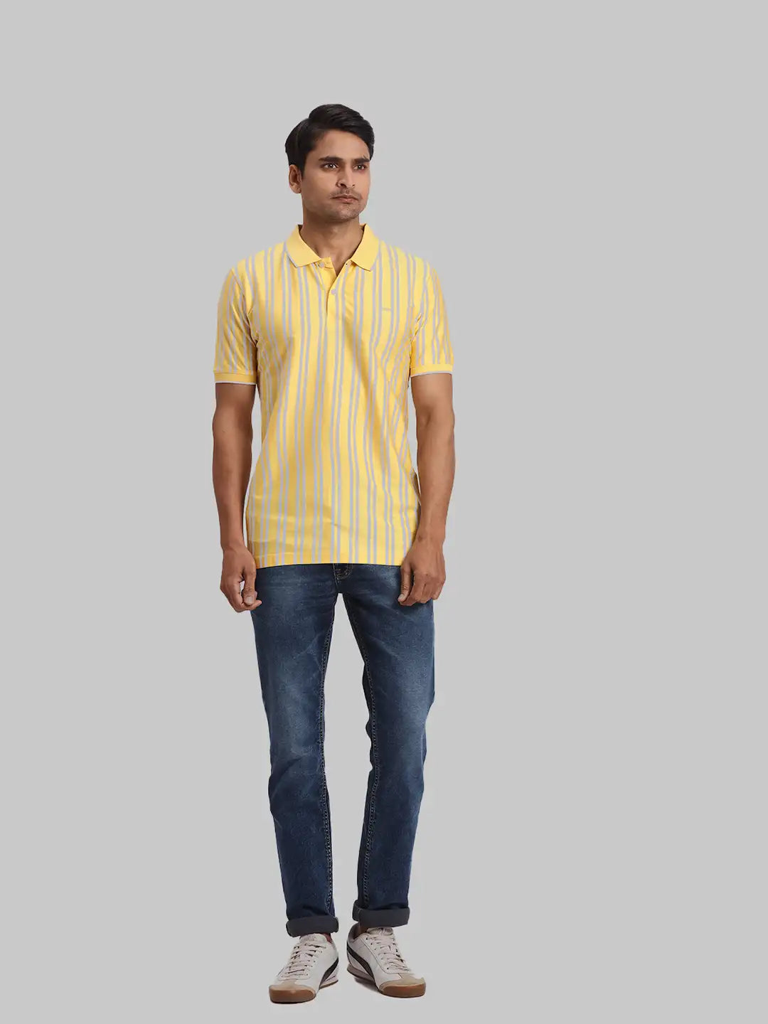 ColorPlus Regular Fit Striped Dark Green T-Shirt