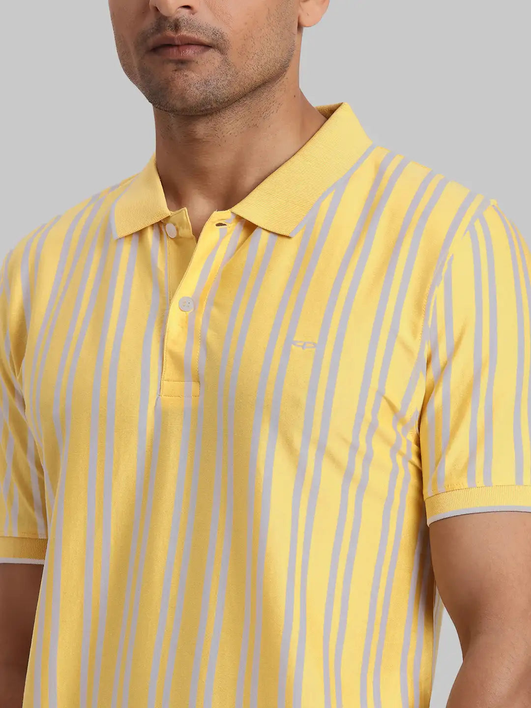 ColorPlus Regular Fit Striped Dark Green T-Shirt