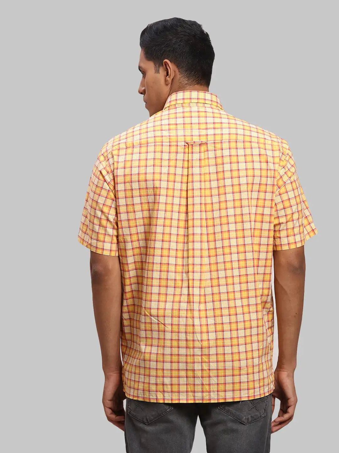 Men Regular Fit Green Shirt
