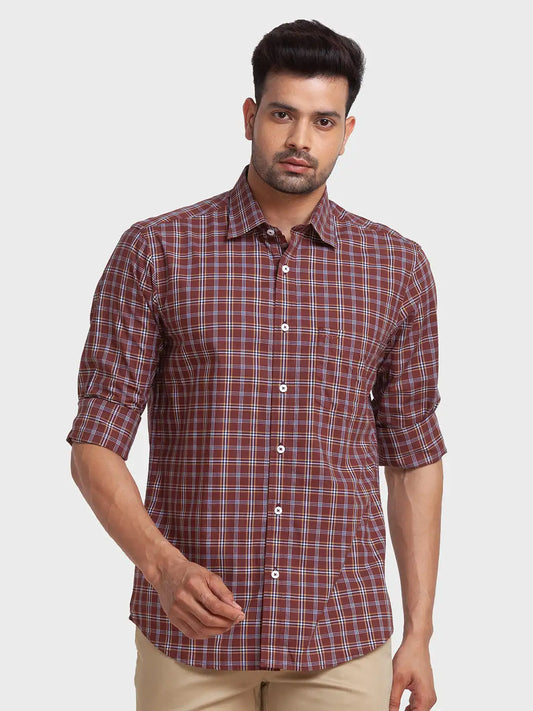 Colorplus shirts online store