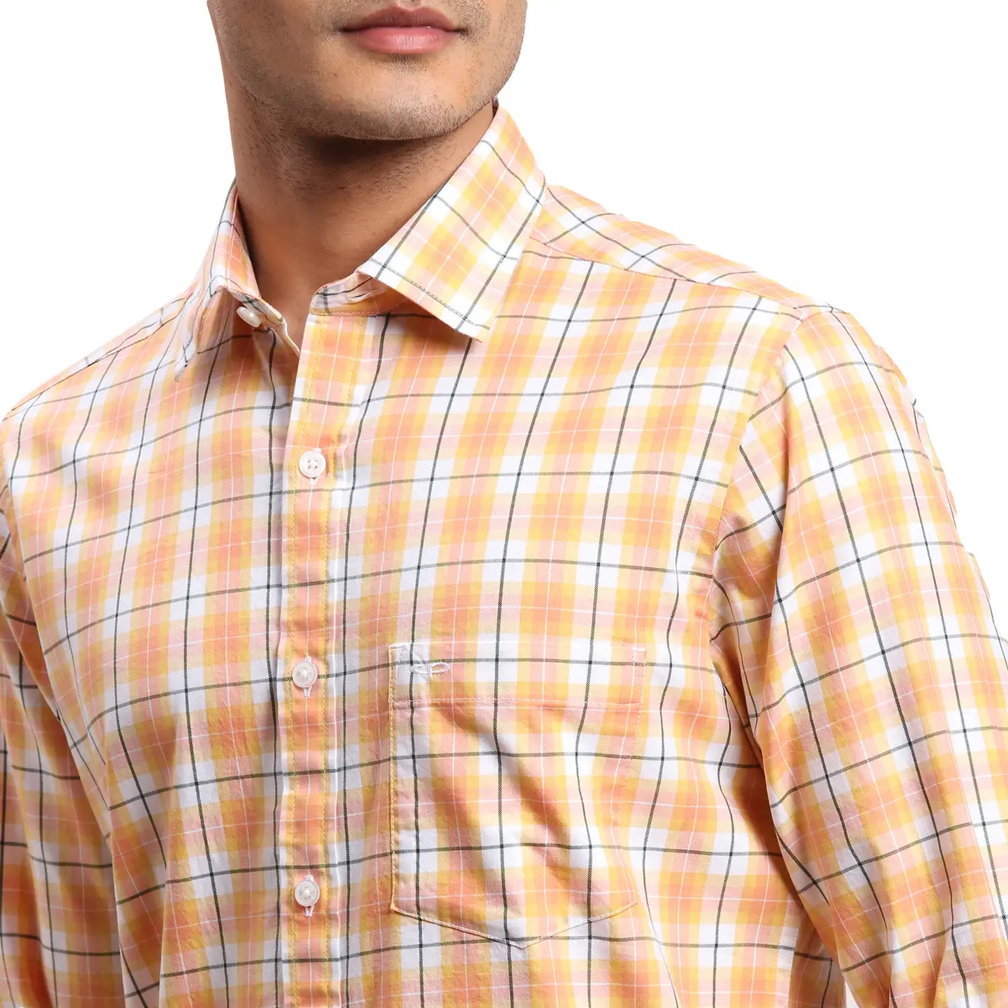 Men Blue Regular Fit Checks Cotton Full Sleeves Shirts