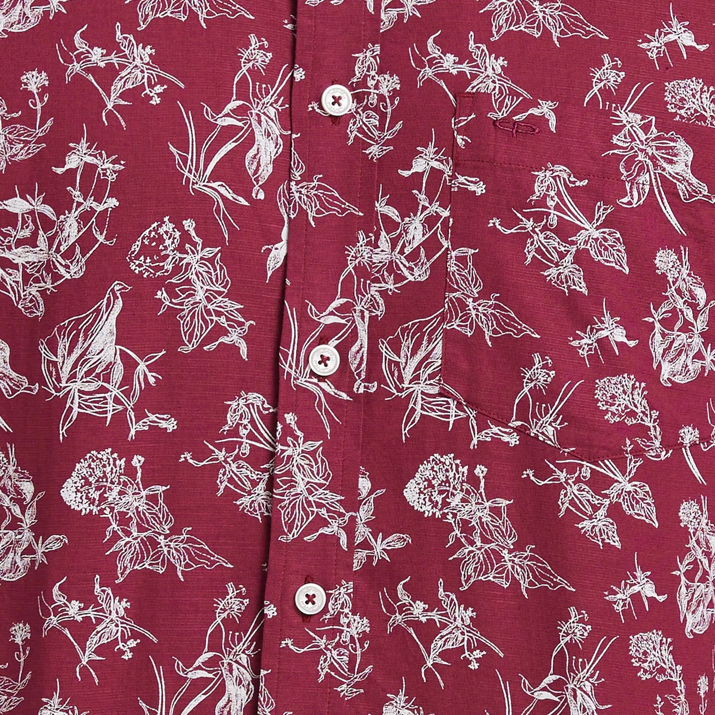 ColorPlus Men Blue Print Regular Fit Cotton Full Sleeve Shirt