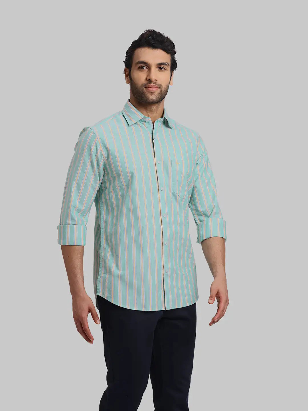 ColorPlus Regular Fit Striped Medium Red Shirt