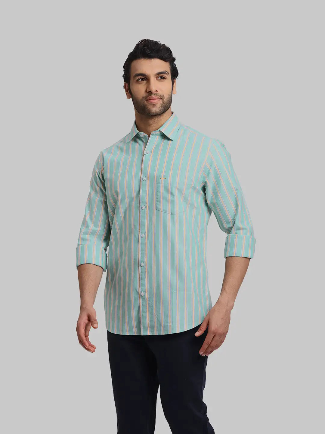 ColorPlus Regular Fit Striped Medium Red Shirt