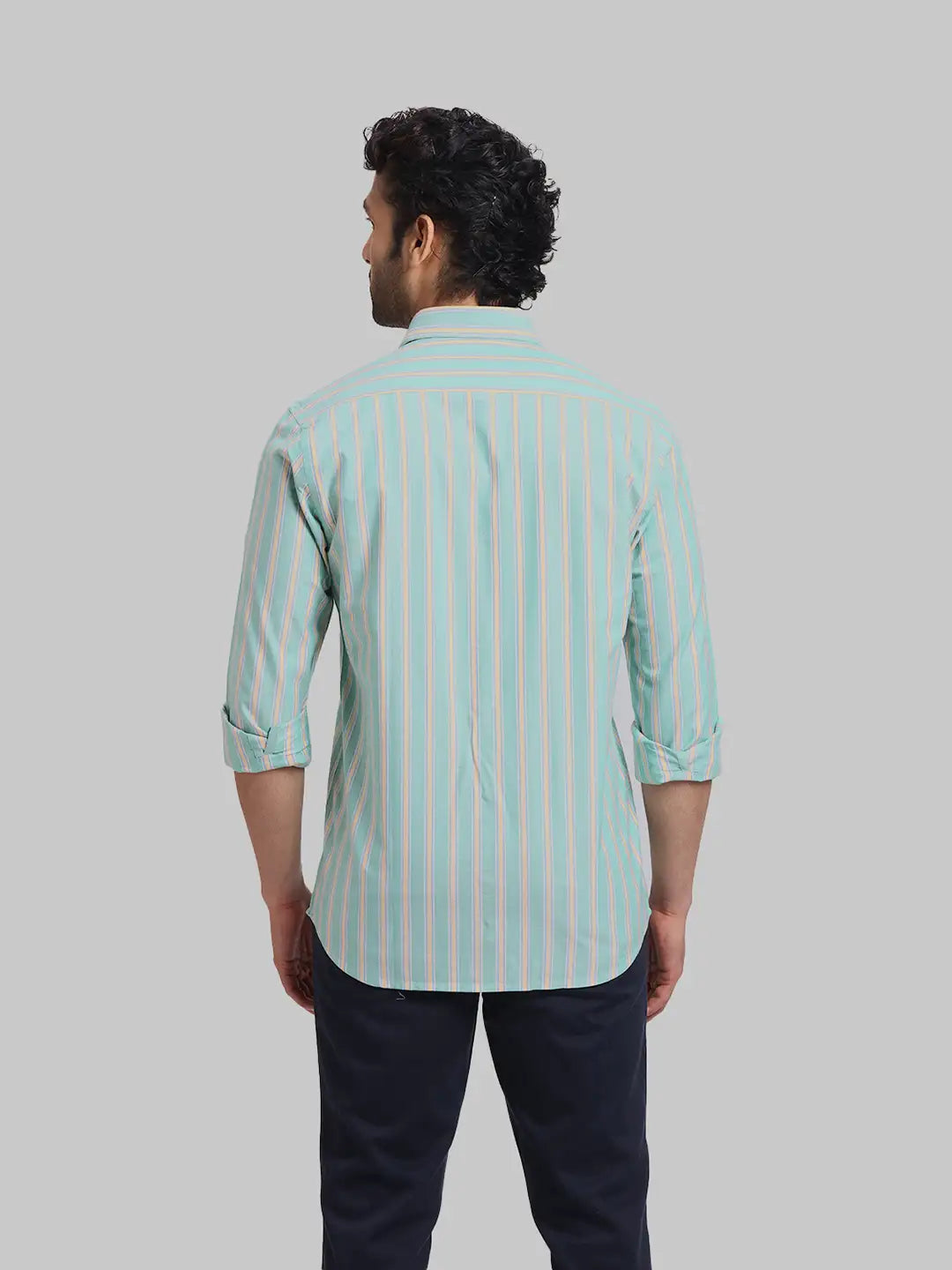 ColorPlus Regular Fit Striped Medium Red Shirt