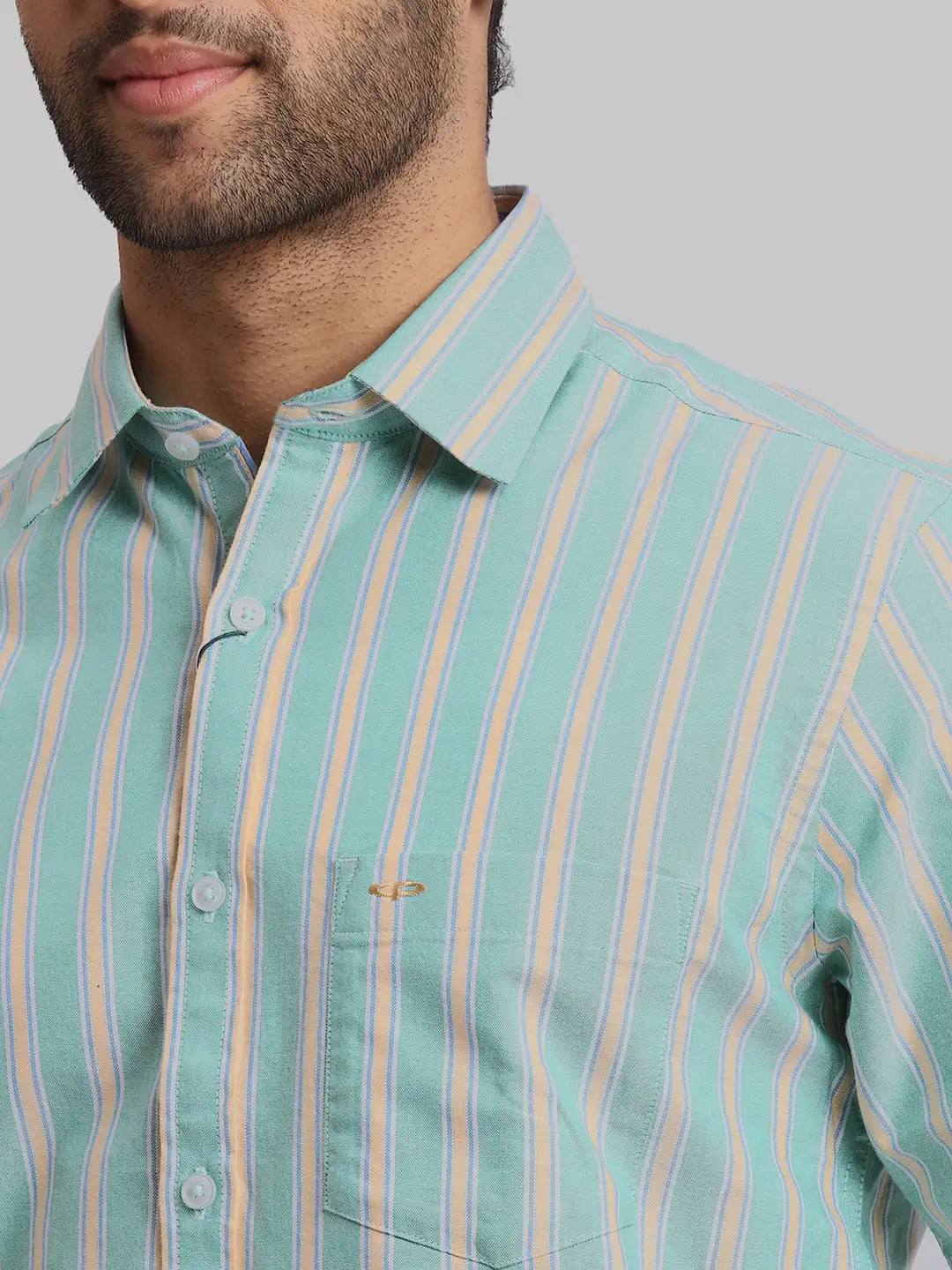 ColorPlus Regular Fit Striped Medium Red Shirt