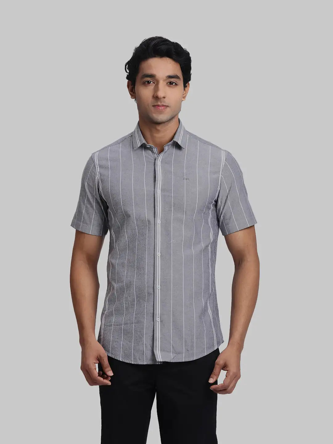 ColorPlus Regular Fit Striped Black Shirt