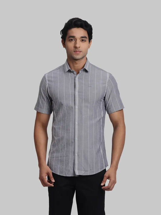 ColorPlus Regular Fit Striped Black Shirt