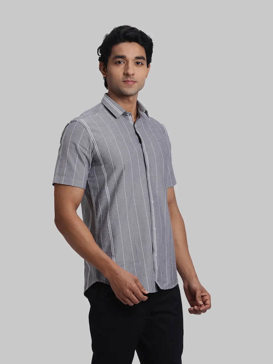 ColorPlus Regular Fit Striped Black Shirt
