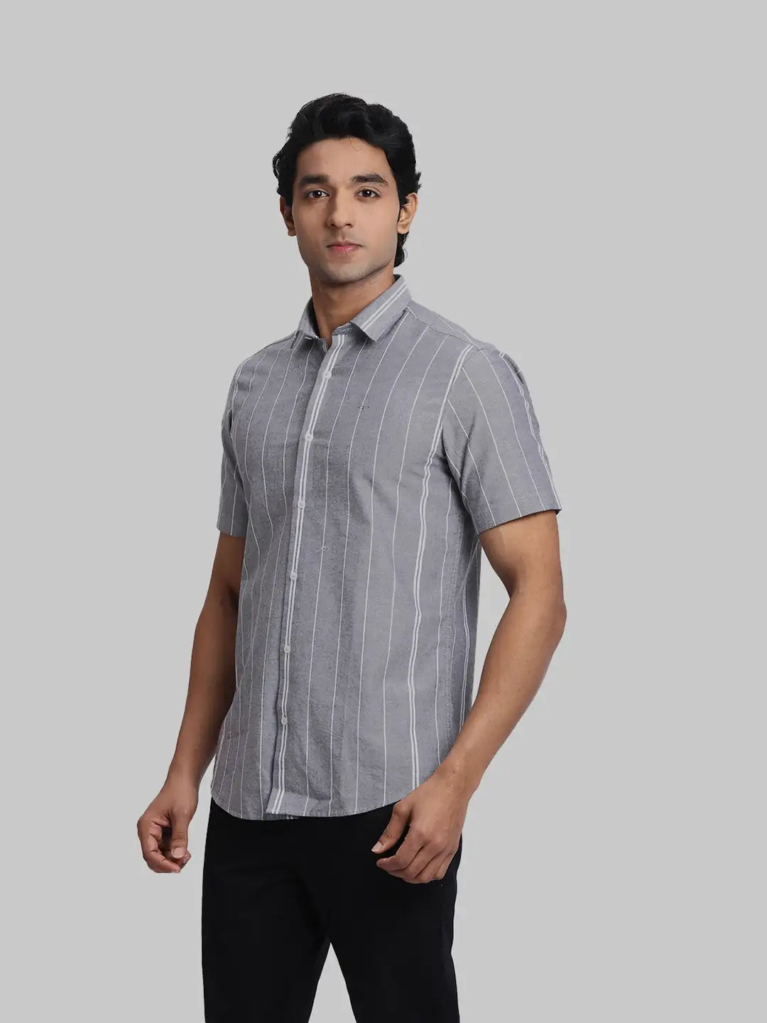 ColorPlus Regular Fit Striped Black Shirt
