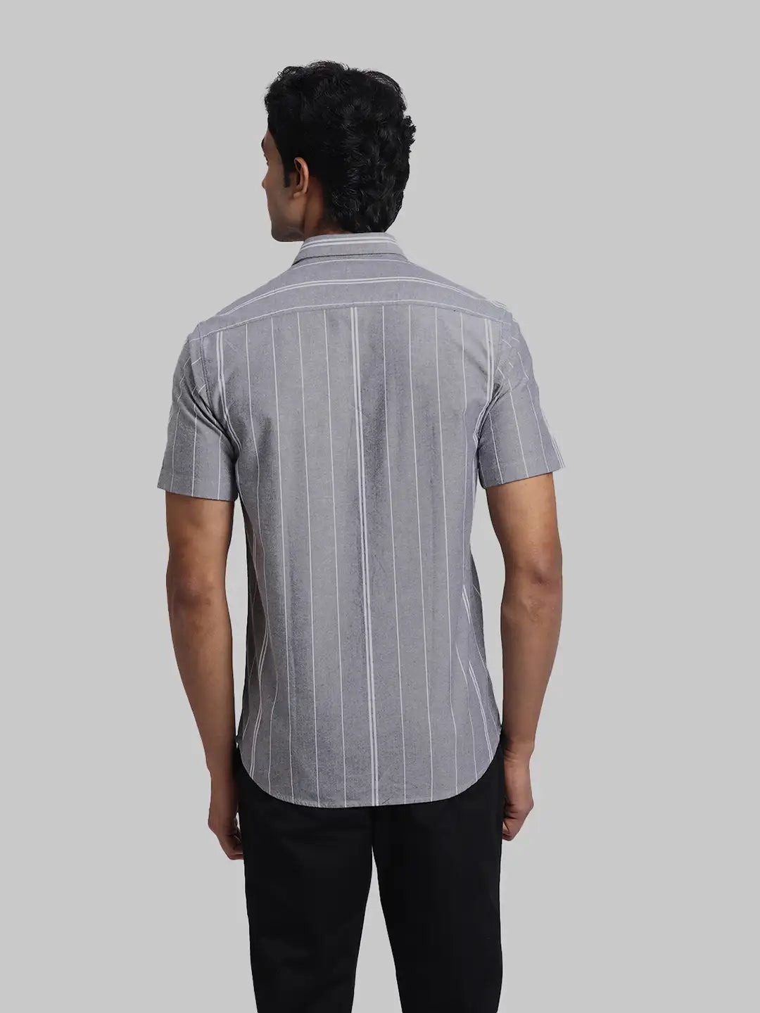 ColorPlus Regular Fit Striped Black Shirt