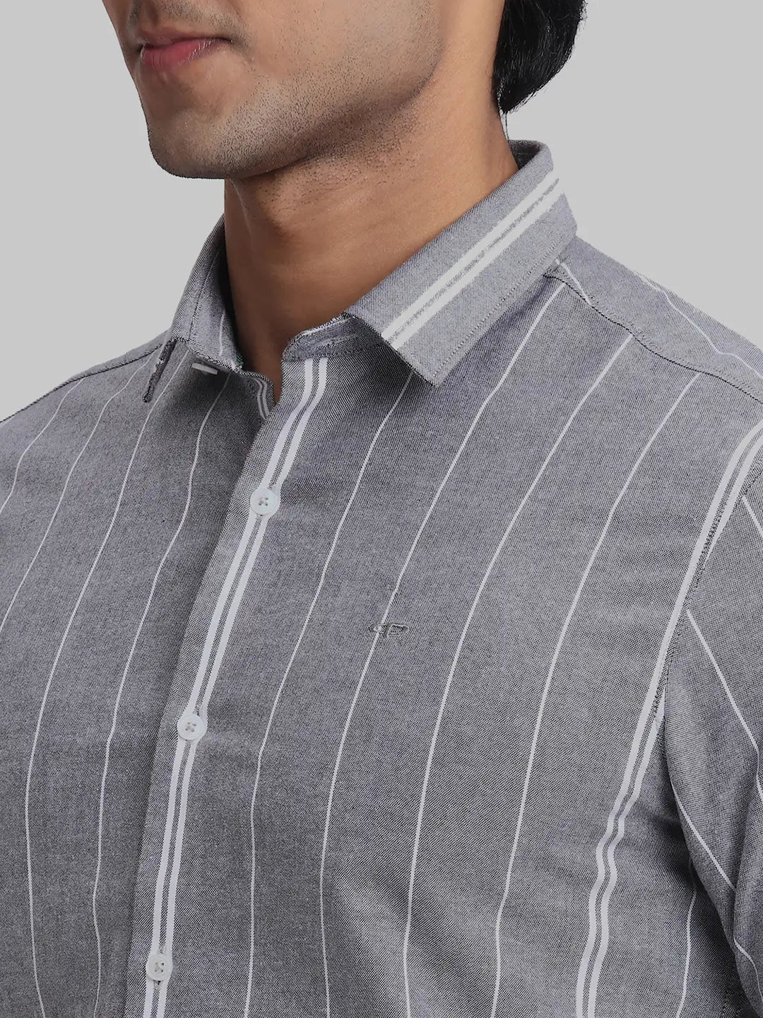 ColorPlus Regular Fit Striped Black Shirt