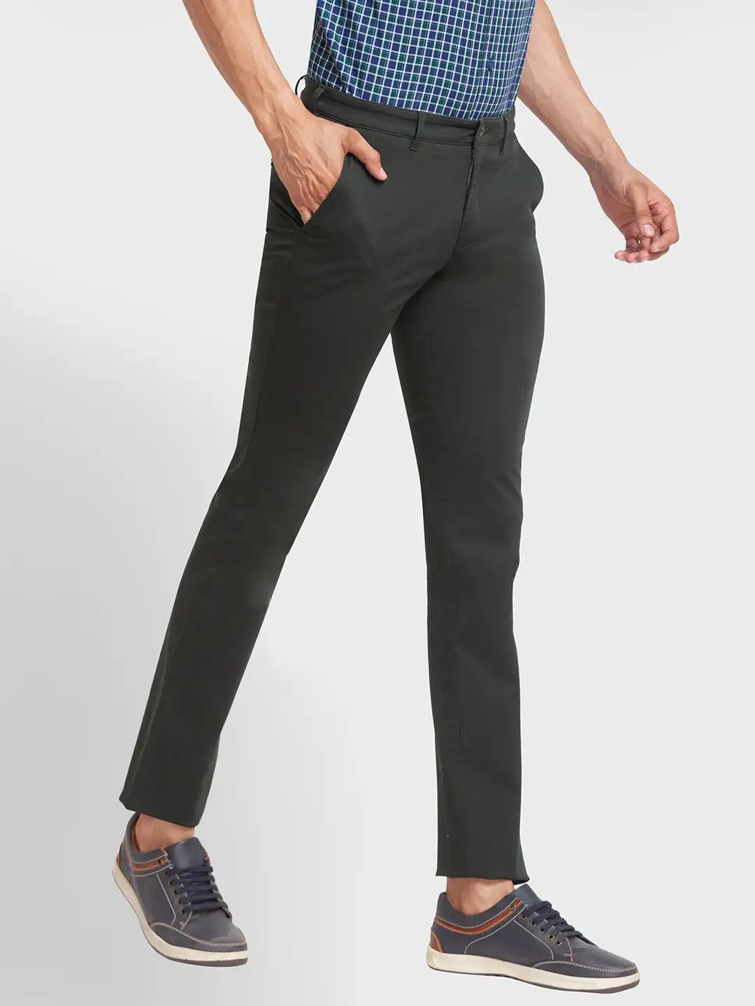 Men Regular Fit Fawn Trouser