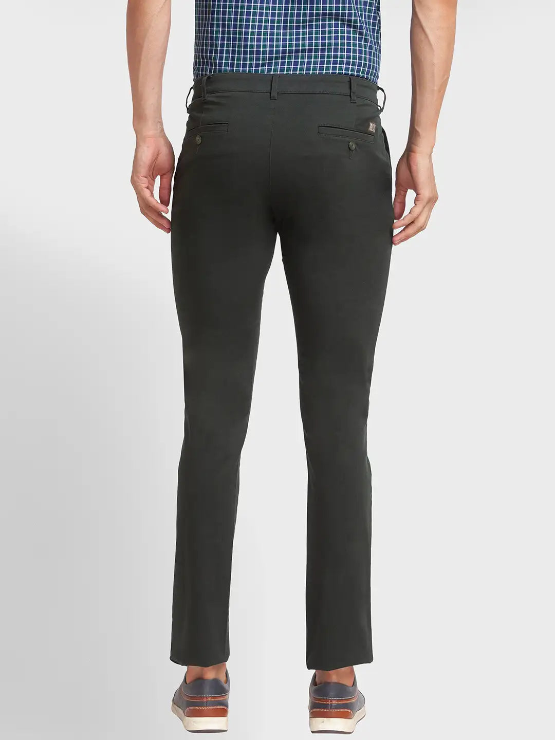 Men Regular Fit Fawn Trouser