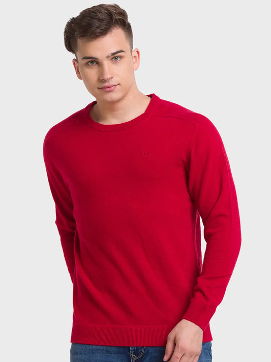 Men Tailored Fit Blue Sweater
