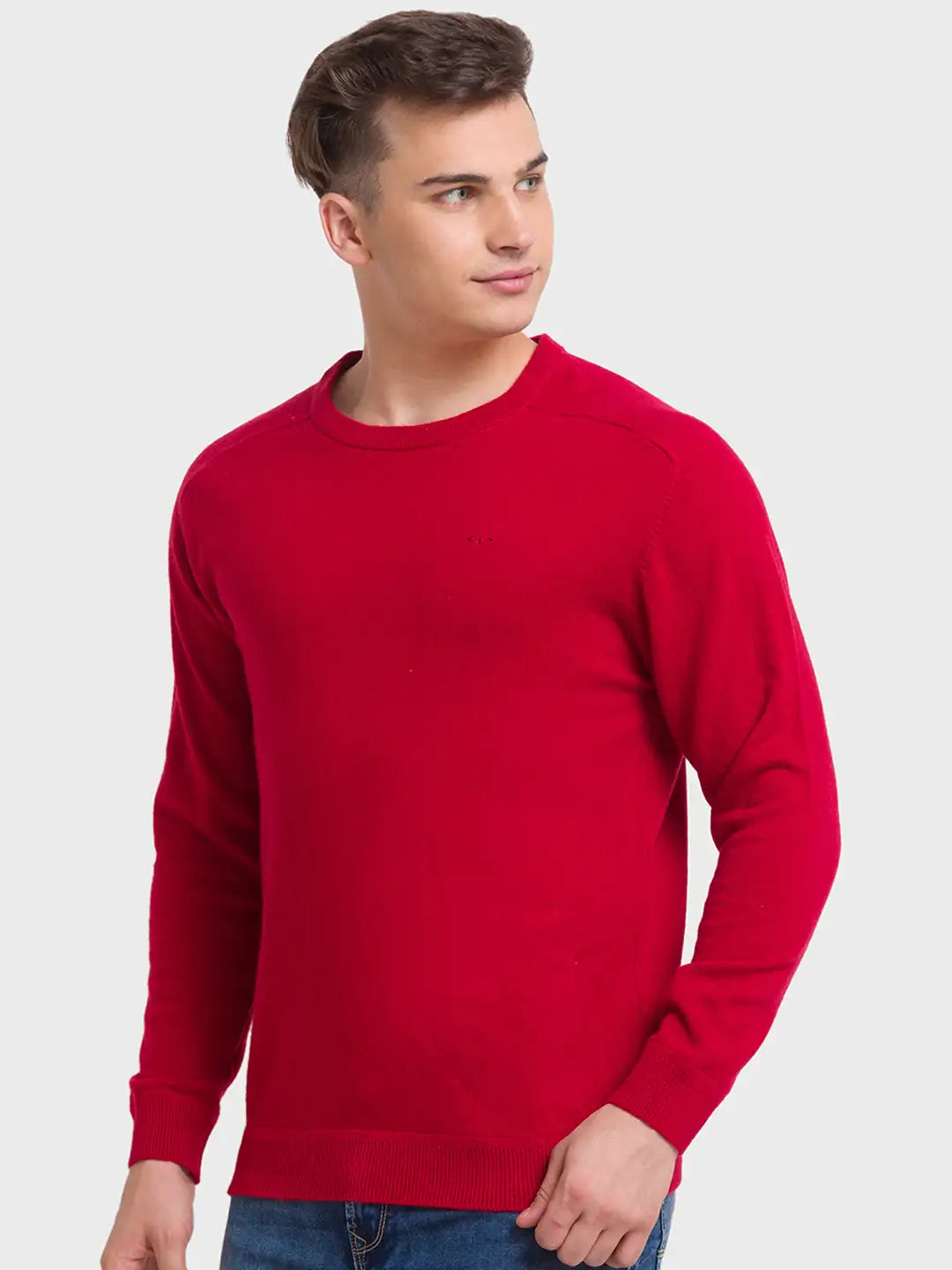 Men Tailored Fit Blue Sweater
