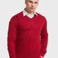 Men Tailored Fit Blue Sweater