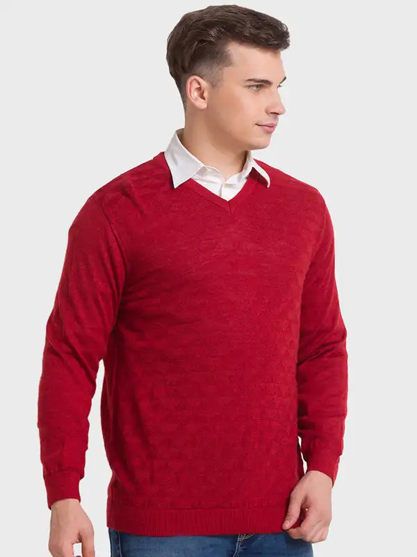 Men Tailored Fit Blue Sweater