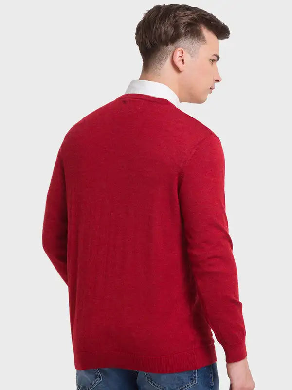 Men Tailored Fit Blue Sweater