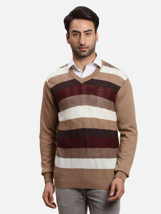 ColorPlus Men Blue Jacquard Regular Fit Acrlic Blend Full Sleeve V Neck Sweater