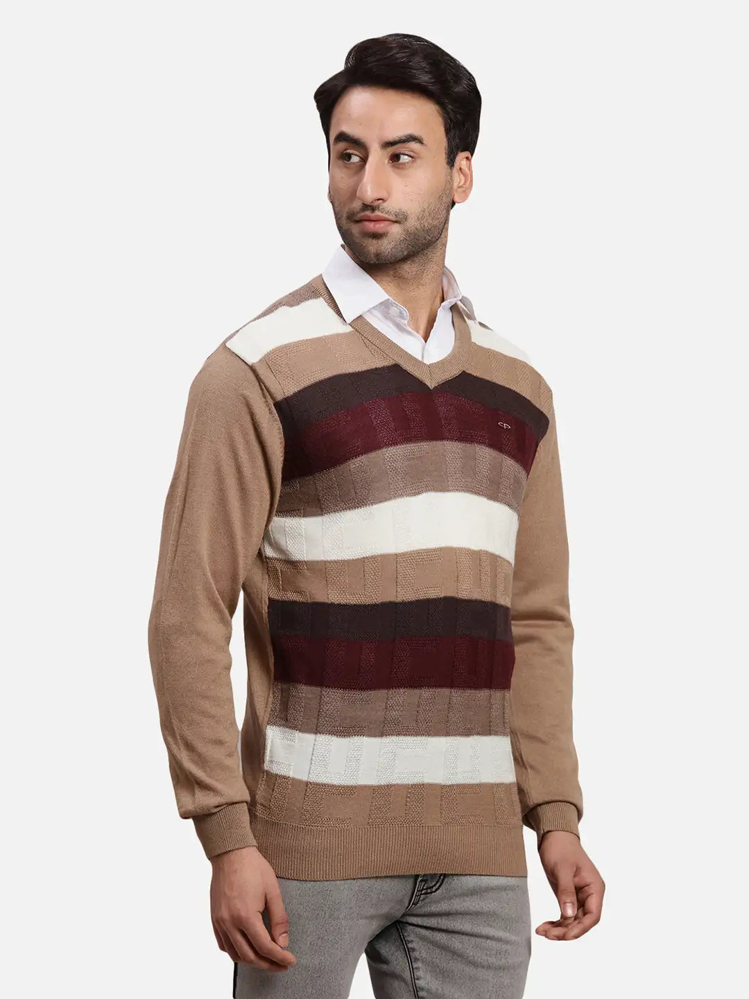 ColorPlus Men Blue Jacquard Regular Fit Acrlic Blend Full Sleeve V Neck Sweater