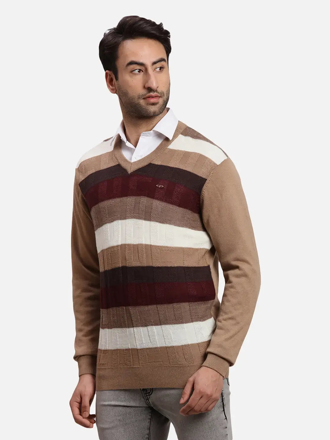 ColorPlus Men Blue Jacquard Regular Fit Acrlic Blend Full Sleeve V Neck Sweater