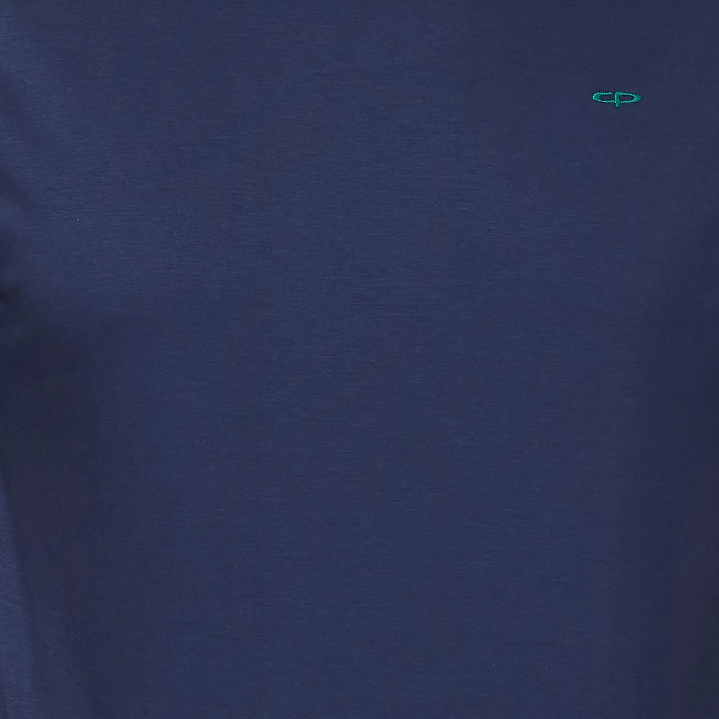 ColorPlus Men Blue Print Regular Fit Cotton Half Sleeve T-Shirt