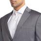Men Regular Fit Fawn Suit