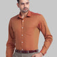 Men Regular Fit Maroon Shirt