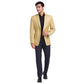 Men Slim Fit Light Grey Blazer