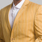 Men Regular Fit Blue Jacket