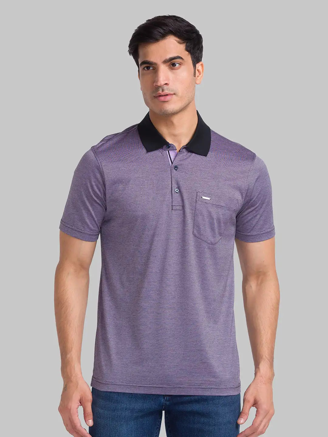 Park Avenue Men Violet Stripe Slim Fit Cotton T-Shirt
