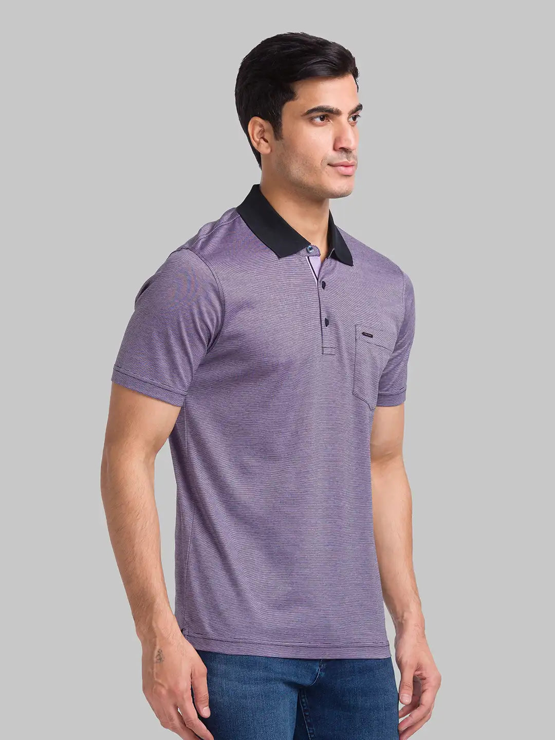 Park Avenue Men Violet Stripe Slim Fit Cotton T-Shirt