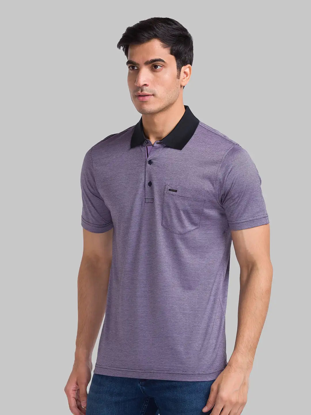 Park Avenue Men Violet Stripe Slim Fit Cotton T-Shirt