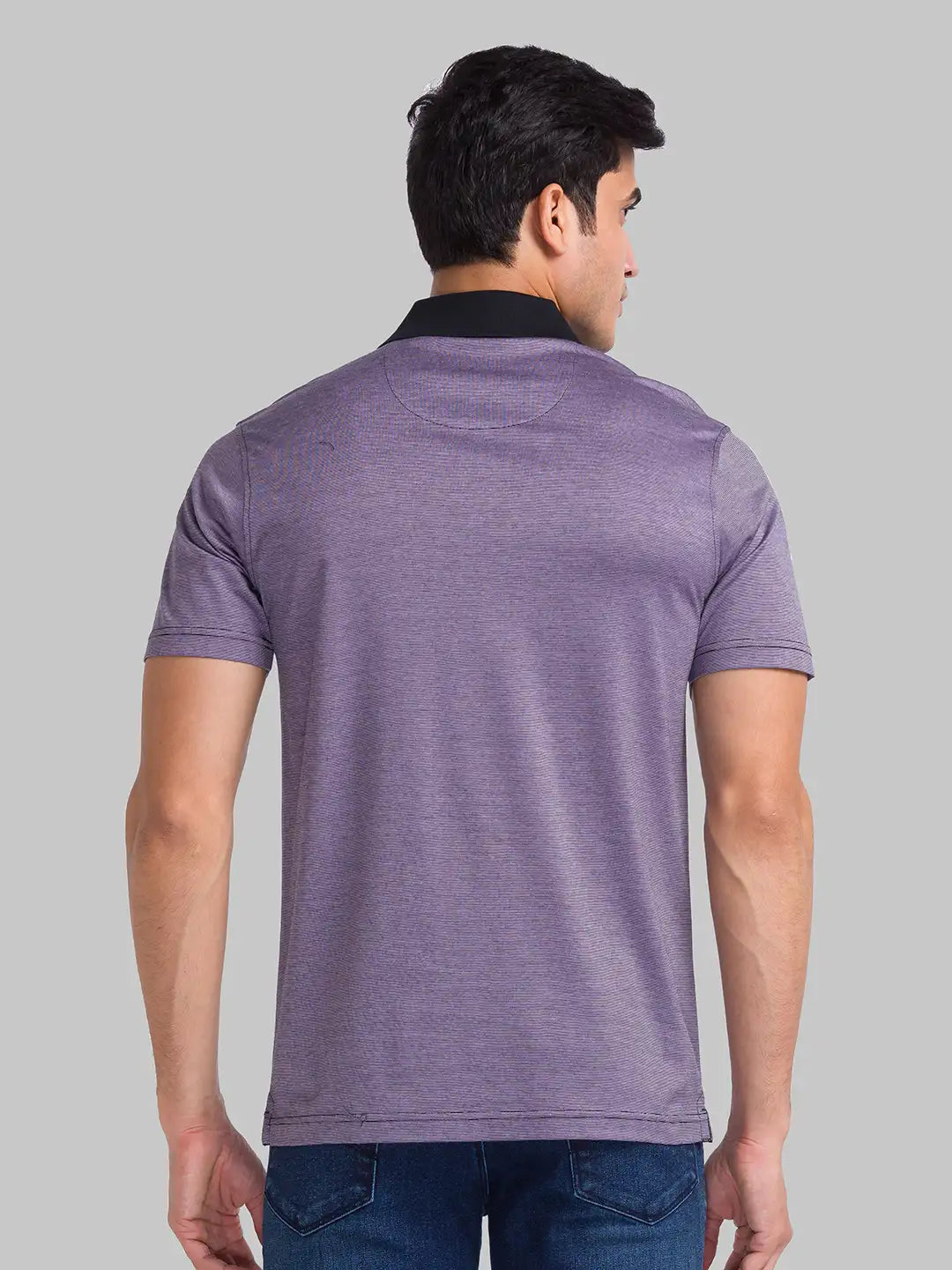 Park Avenue Men Violet Stripe Slim Fit Cotton T-Shirt