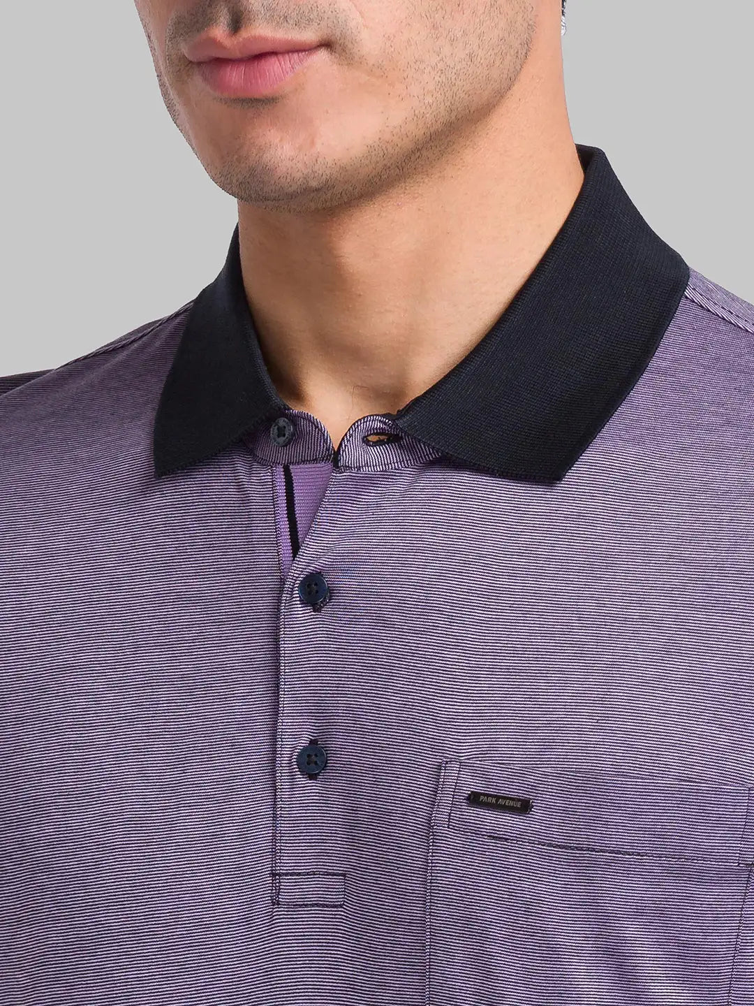 Park Avenue Men Violet Stripe Slim Fit Cotton T-Shirt