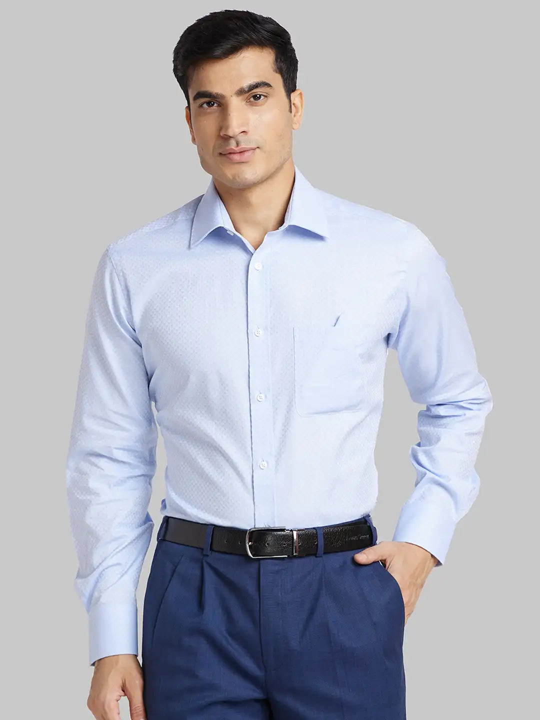Men Violet Luxus Fit Structure  Cotton Full Sleeve Regular Collar Shirts