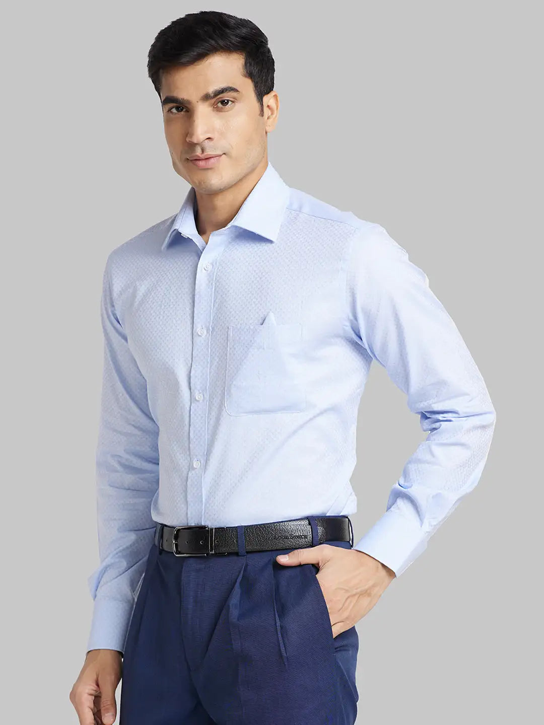 Men Violet Luxus Fit Structure  Cotton Full Sleeve Regular Collar Shirts