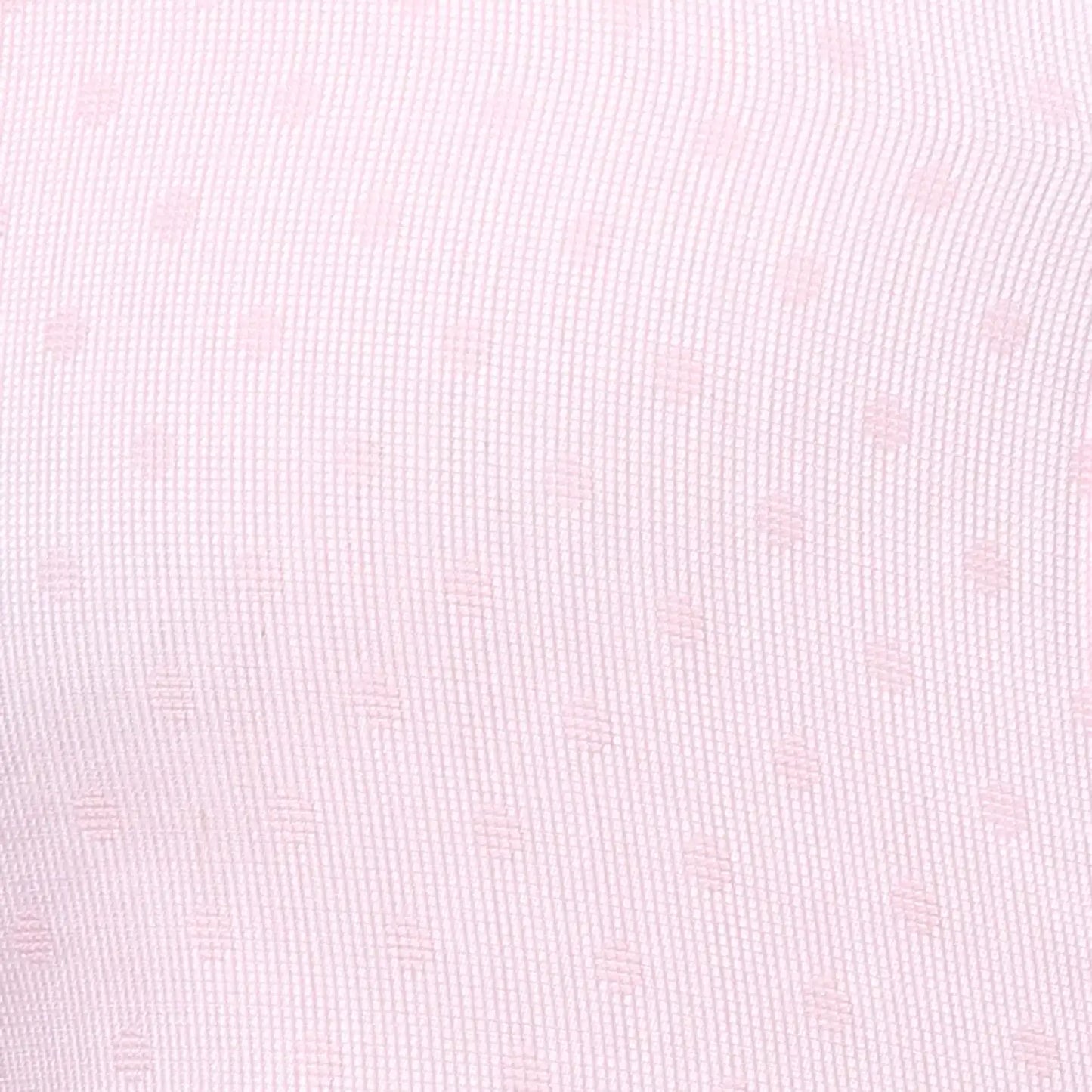 Men Regular Fit Blue Shirt