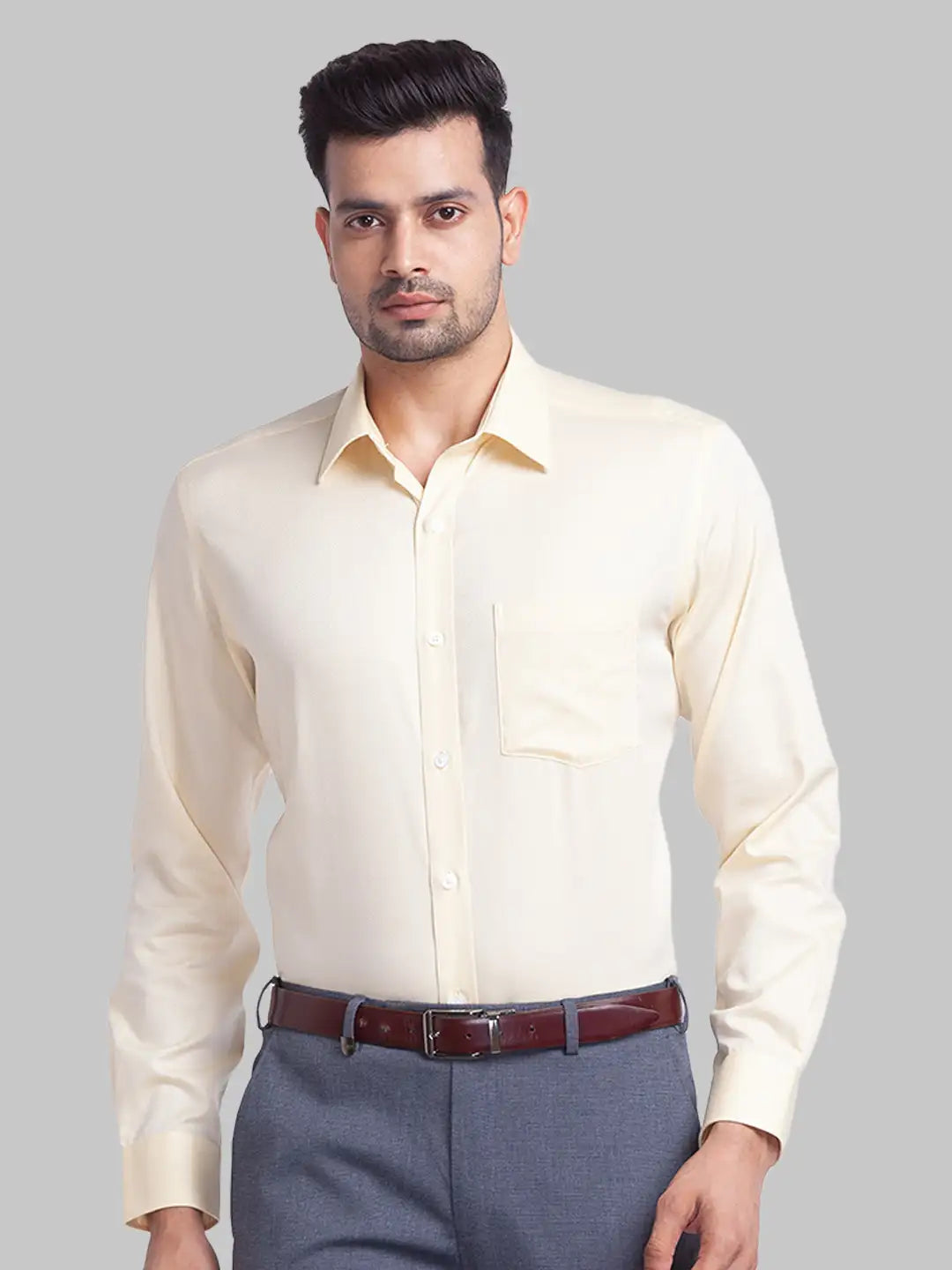 Men Regular Fit Fawn Shirt