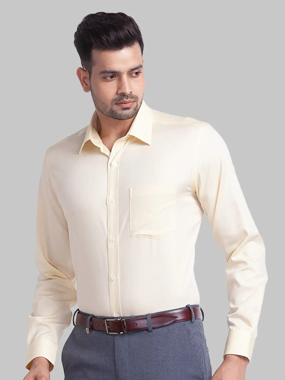 Men Regular Fit Fawn Shirt