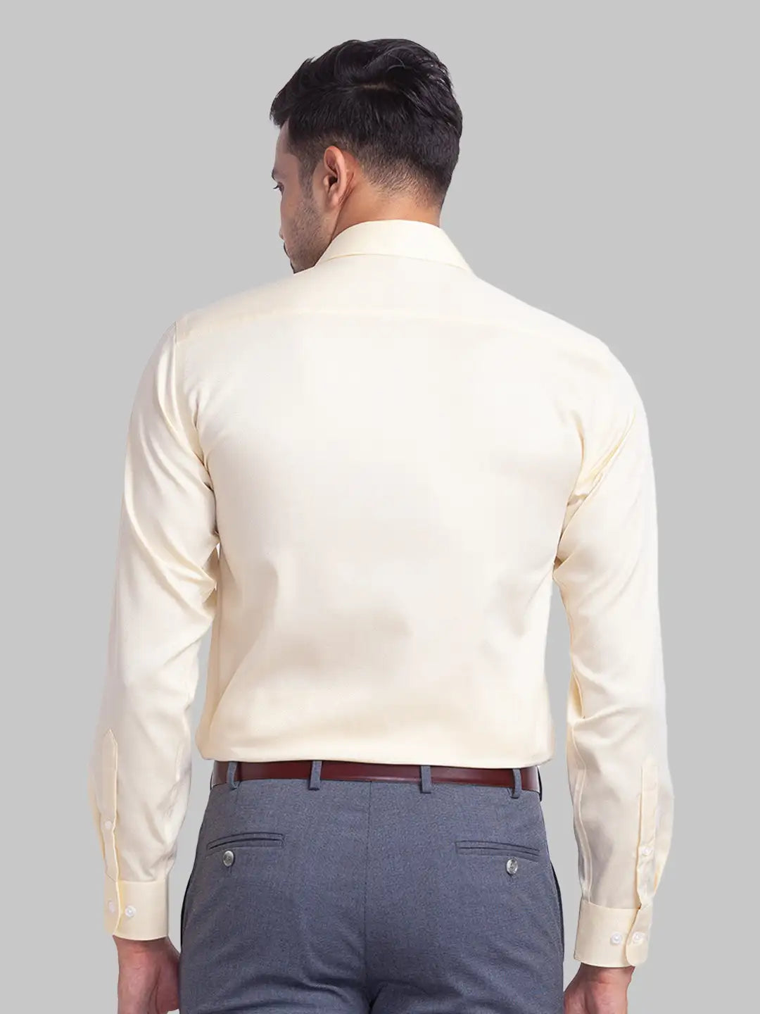 Men Regular Fit Fawn Shirt