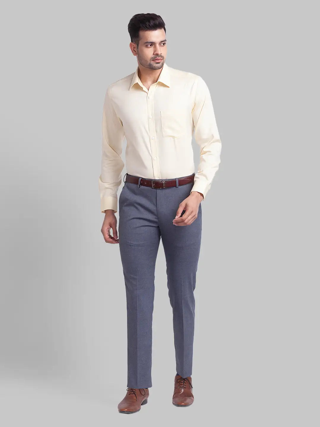 Men Regular Fit Fawn Shirt