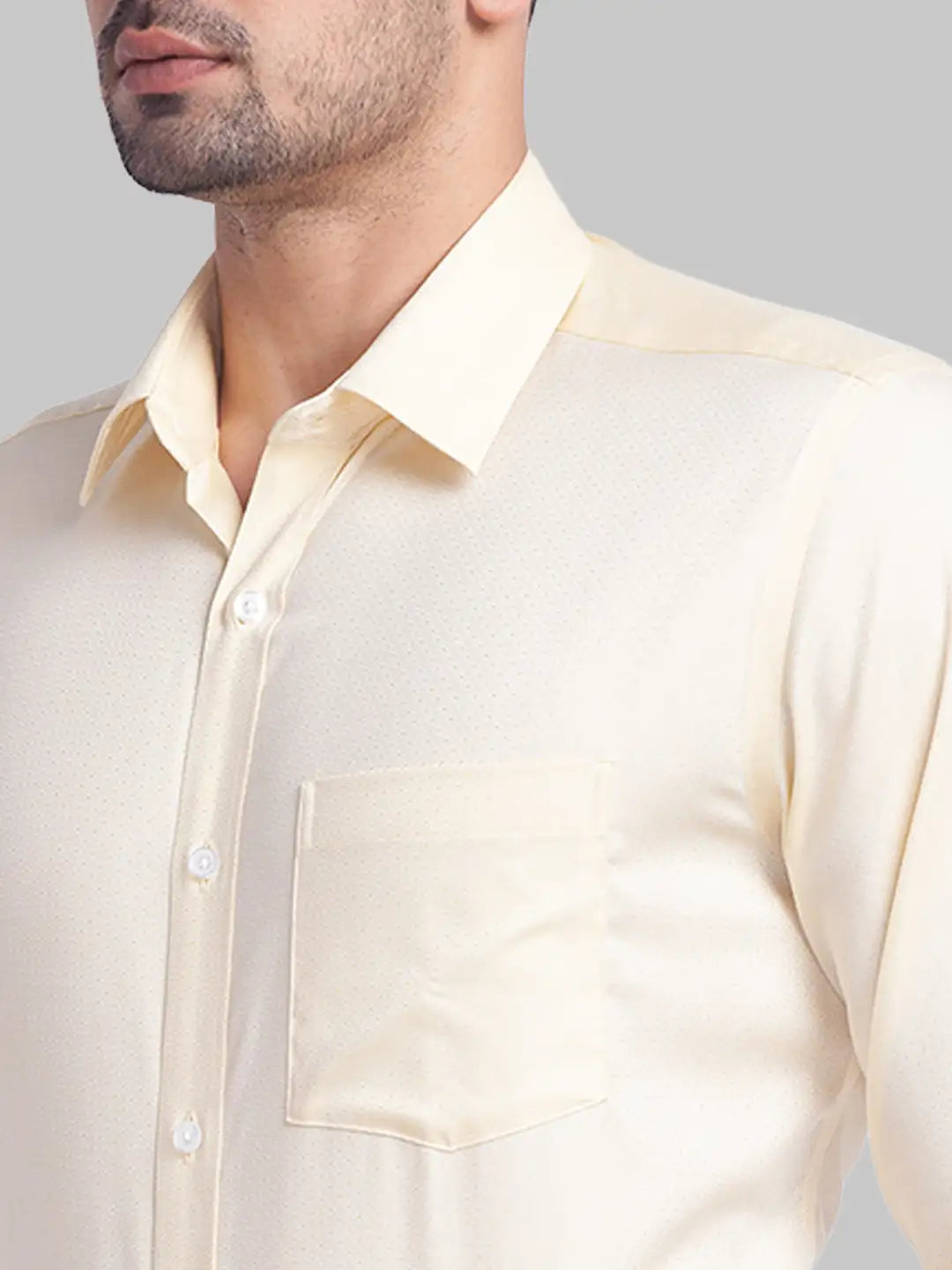 Men Regular Fit Fawn Shirt