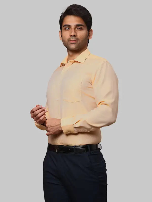 Men Regular Fit Green Shirt